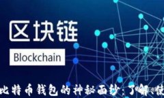 揭开隐蔽比特币钱包的神