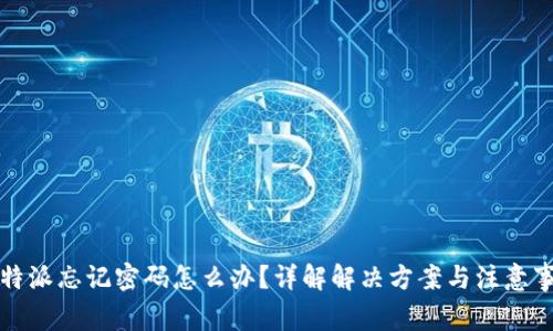 比特派忘记密码怎么办？详解解决方案与注意事项