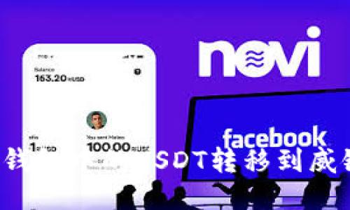 如何将波场钱包中的USDT转移到威链？详尽指南