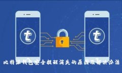 比特派钱包安全提醒消失