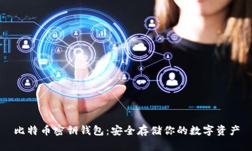 比特币密钥钱包：安全存储你的数字资产
