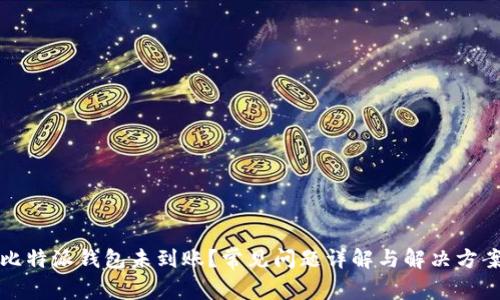 比特派钱包未到账？常见问题详解与解决方案