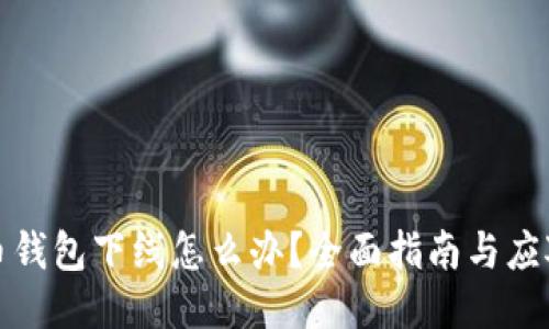 比特币钱包下线怎么办？全面指南与应对策略