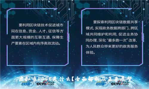 虚拟币POSE是什么？全面解析及未来展望