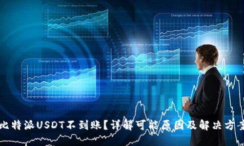 比特派USDT不到账？详解可能原因及解决方案