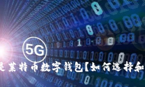 什么是莱特币数字钱包？如何选择和使用？