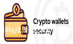 全面解析OPay支付钱包：功能、优势与使用指南