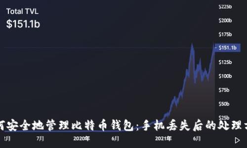 如何安全地管理比特币钱包：手机丢失后的处理方案