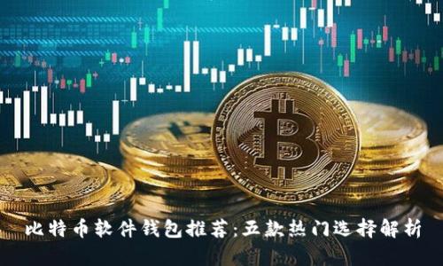 比特币软件钱包推荐：五款热门选择解析