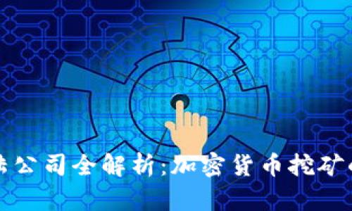 比特大陆公司全解析：加密货币挖矿的领军者