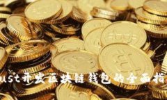Rust开发区块链钱包的全面指南
