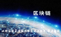 比特派能否在国内服务器上使用：深度解析