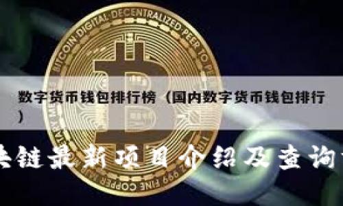 区块链最新项目介绍及查询方法
